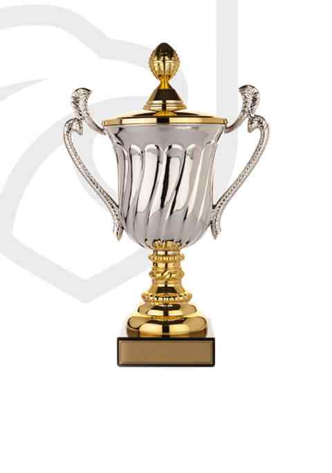 https://atencaovascainos.com.br/wp-content/uploads/2022/11/trophy_overlay_02.jpg